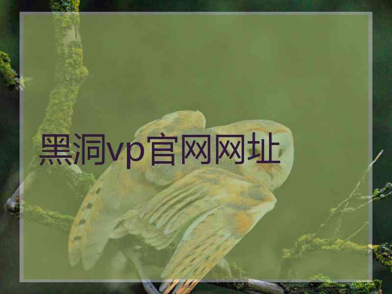 黑洞vp官网网址