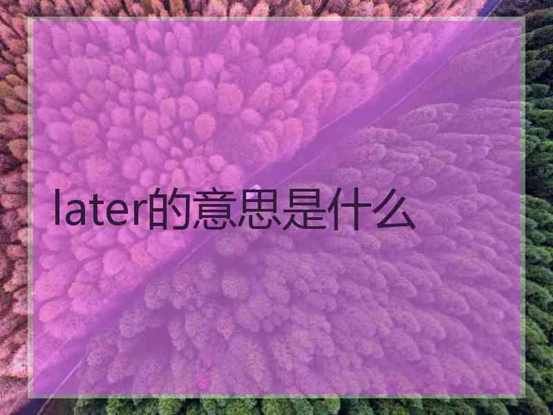 later的意思是什么