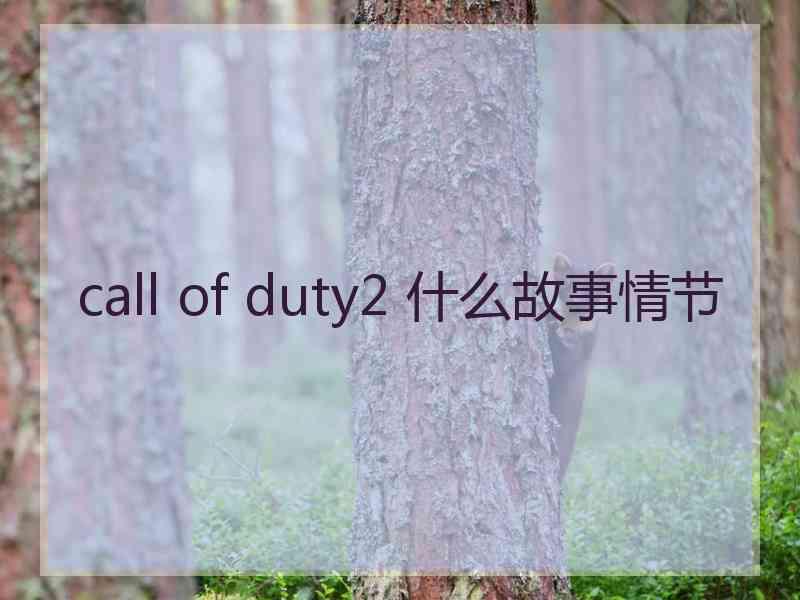 call of duty2 什么故事情节