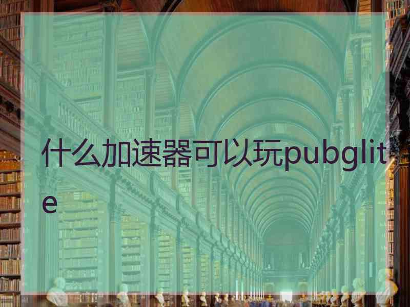 什么加速器可以玩pubglite