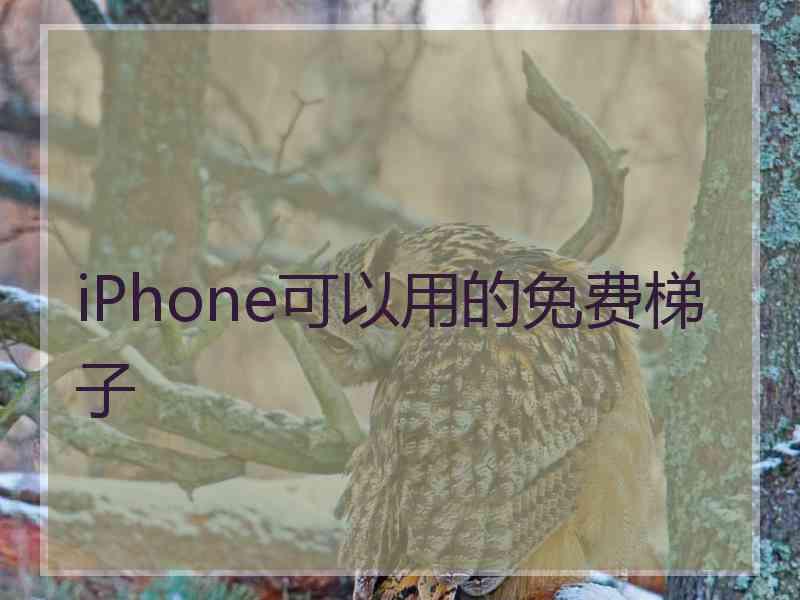 iPhone可以用的免费梯子