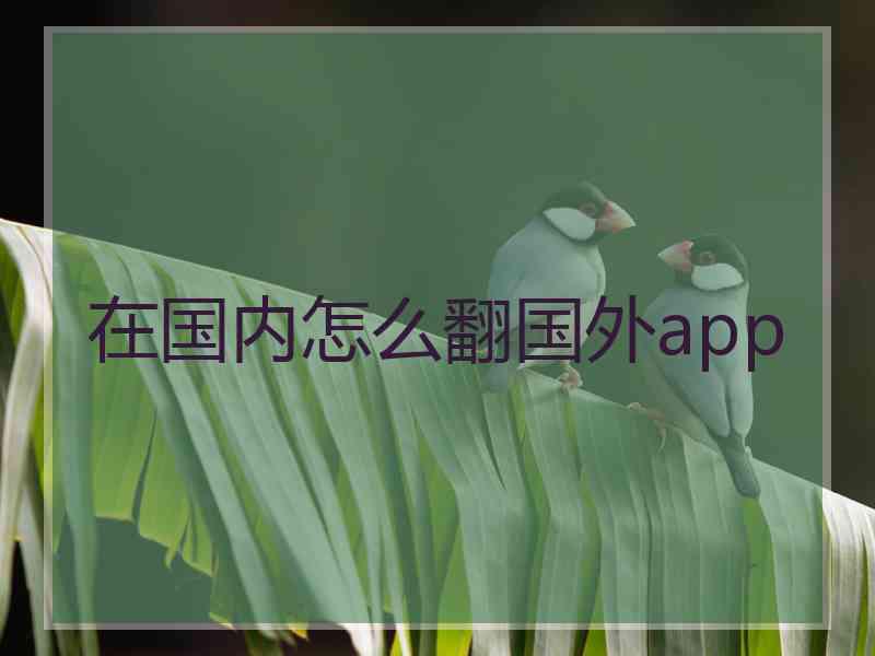 在国内怎么翻国外app