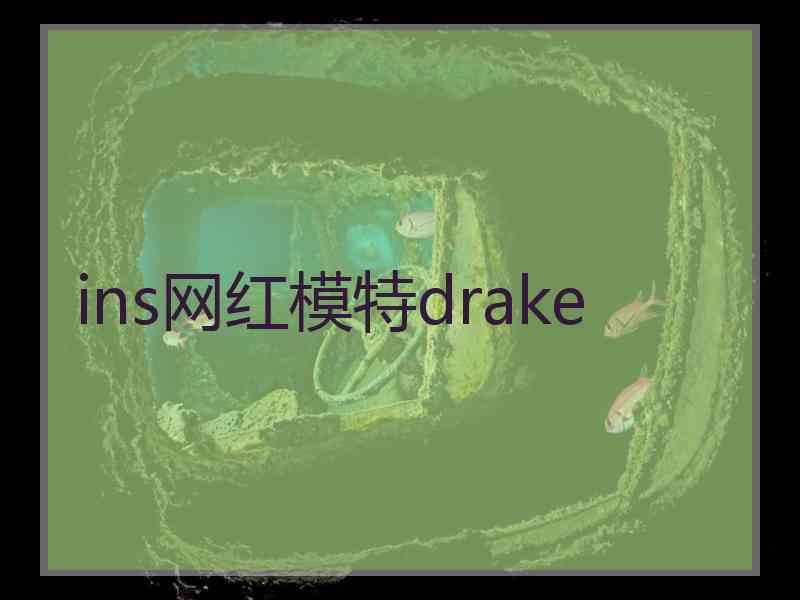 ins网红模特drake