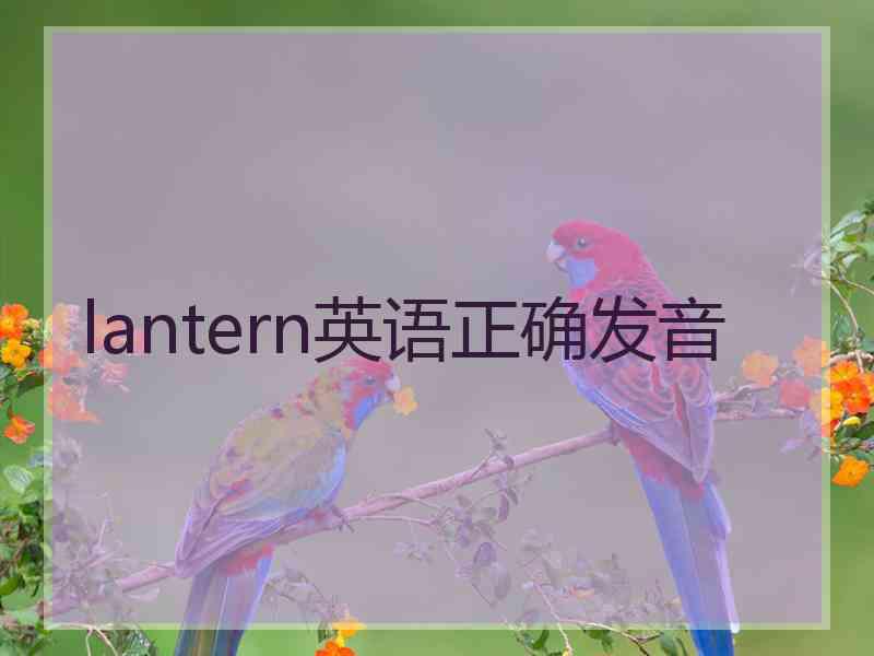 lantern英语正确发音