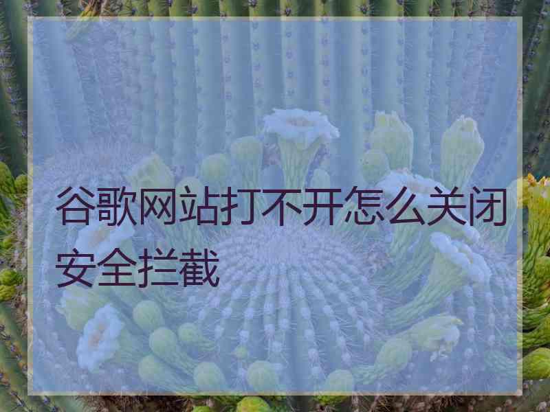 谷歌网站打不开怎么关闭安全拦截