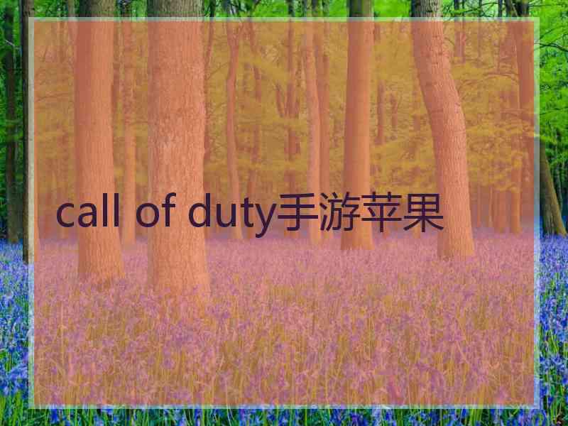 call of duty手游苹果