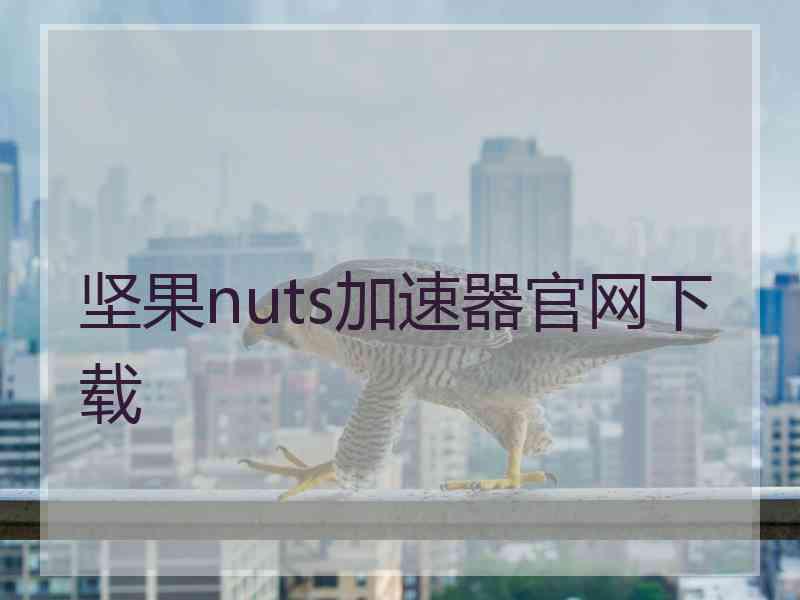 坚果nuts加速器官网下载