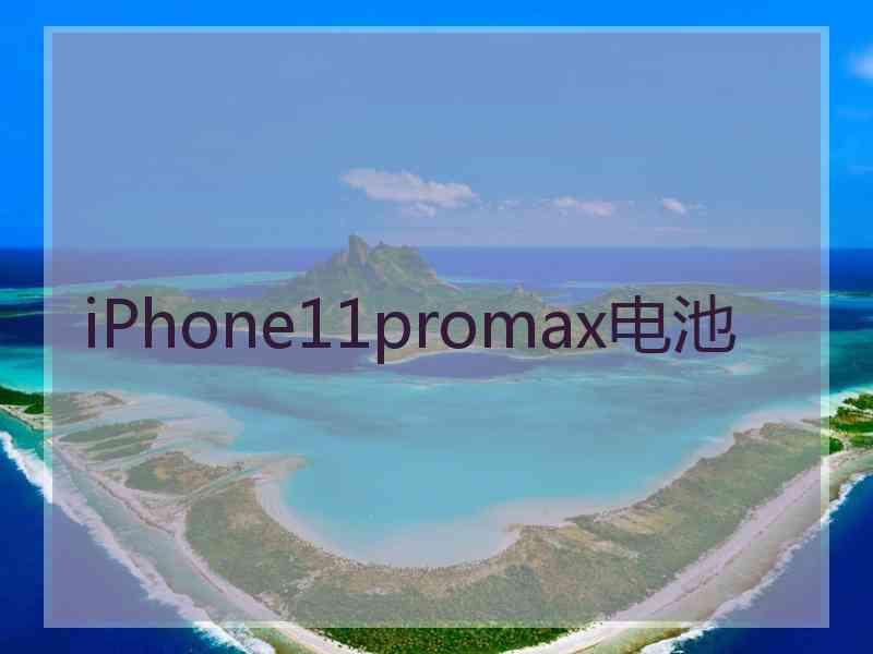 iPhone11promax电池