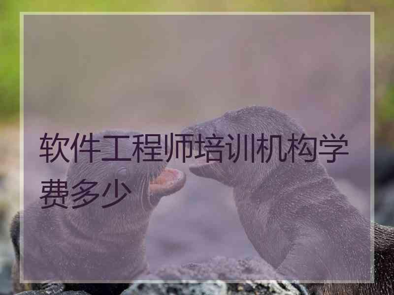 软件工程师培训机构学费多少