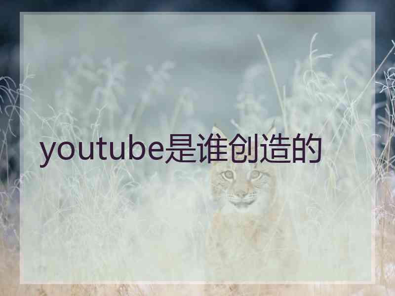 youtube是谁创造的