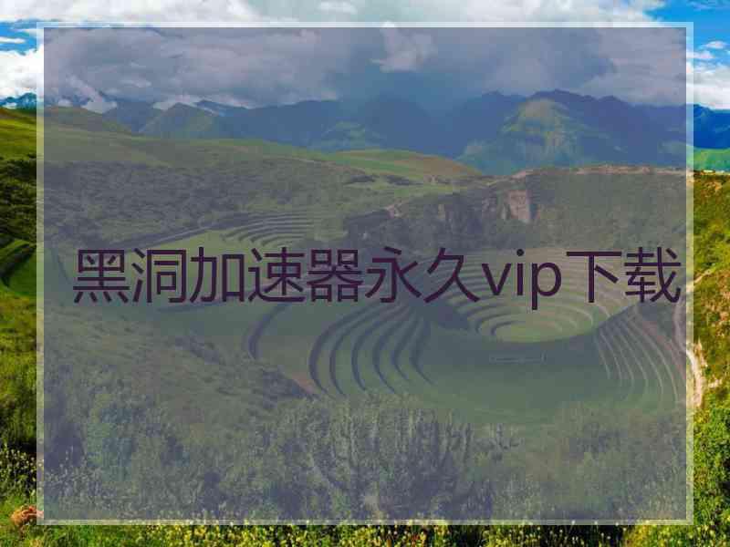 黑洞加速器永久vip下载