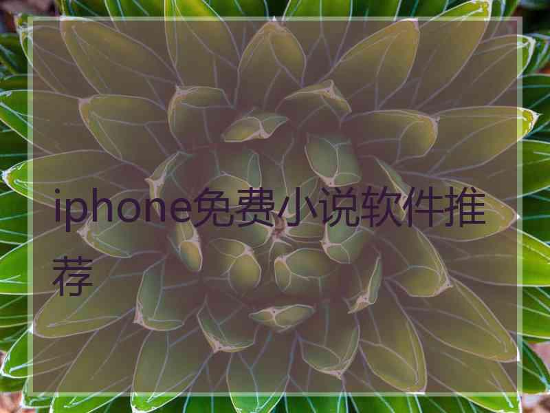 iphone免费小说软件推荐