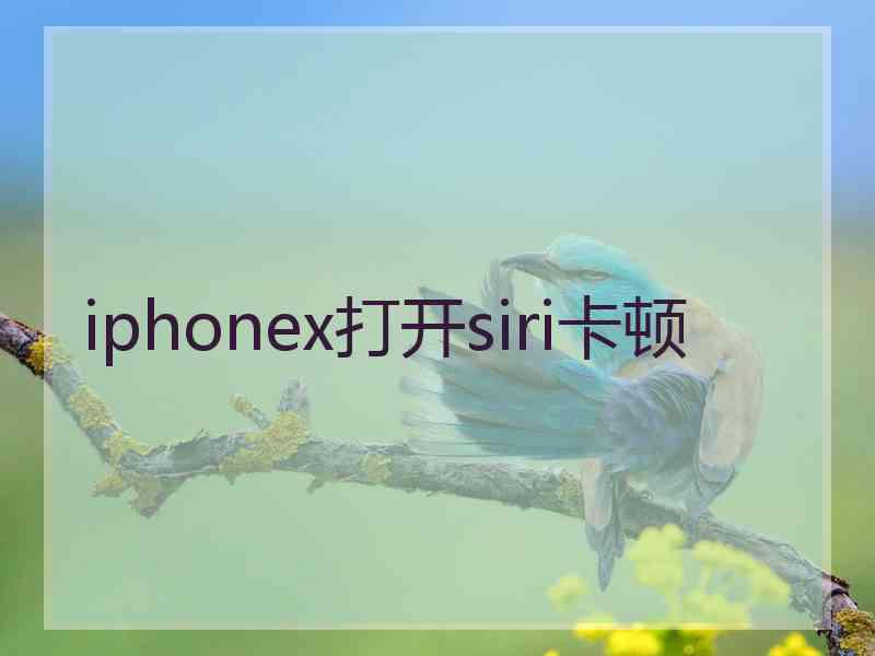 iphonex打开siri卡顿