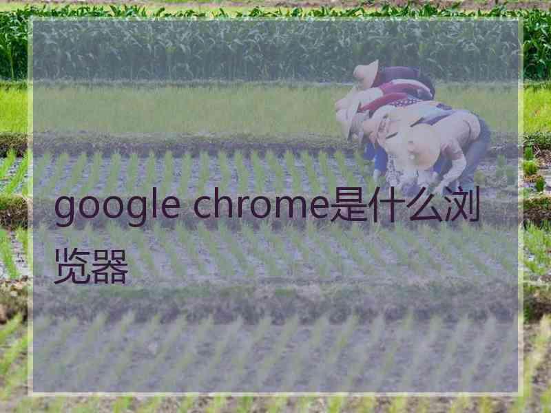 google chrome是什么浏览器