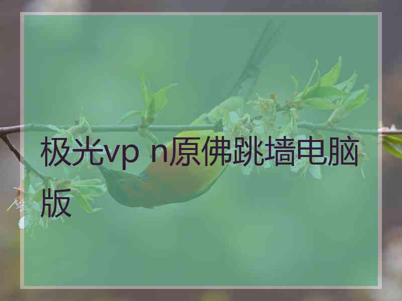 极光vp n原佛跳墙电脑版