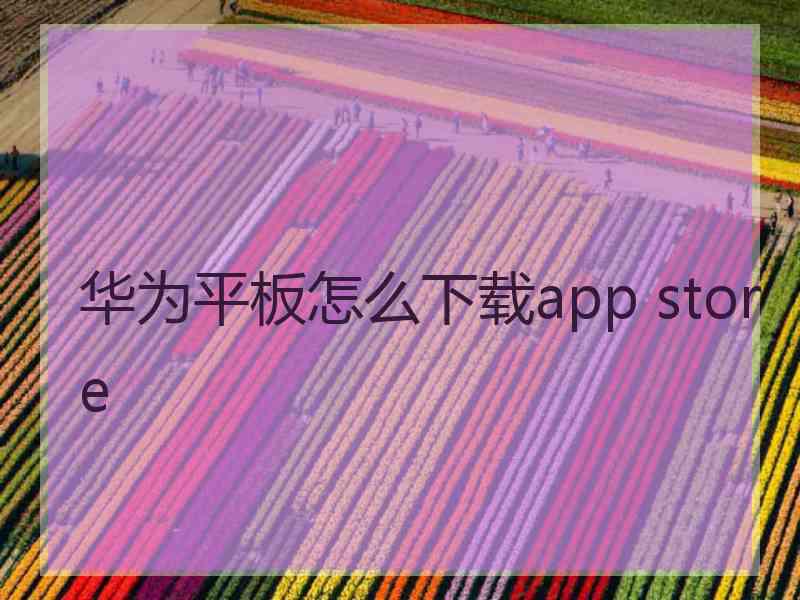 华为平板怎么下载app store