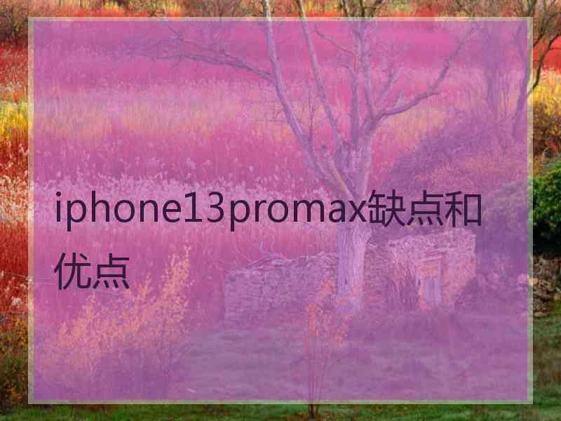 iphone13promax缺点和优点