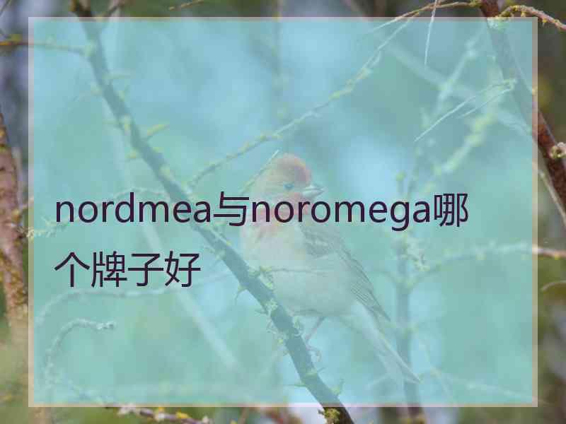 nordmea与noromega哪个牌子好