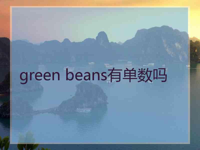 green beans有单数吗