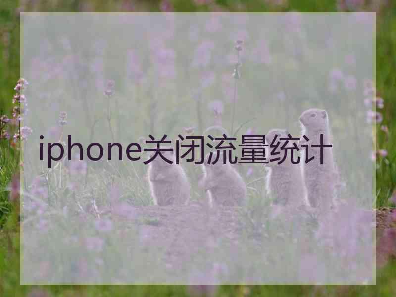 iphone关闭流量统计