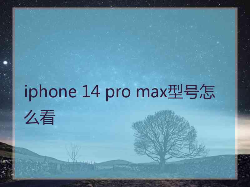 iphone 14 pro max型号怎么看