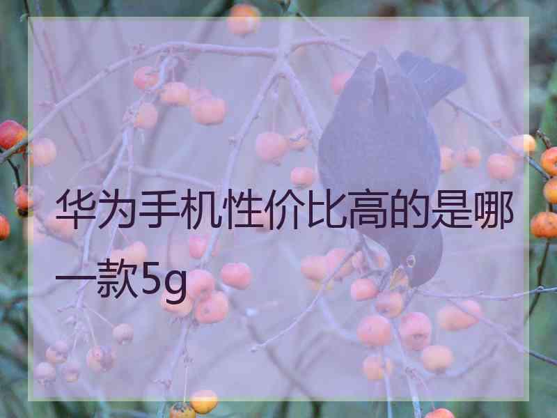 华为手机性价比高的是哪一款5g