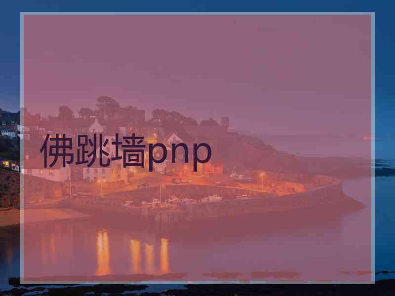 佛跳墙pnp