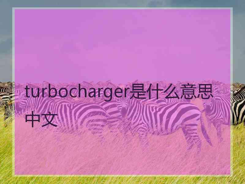 turbocharger是什么意思中文