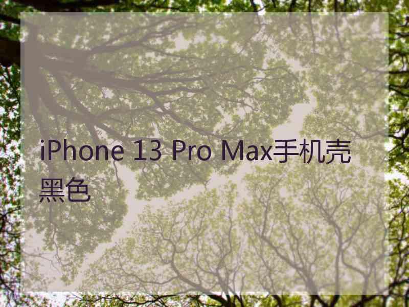 iPhone 13 Pro Max手机壳黑色