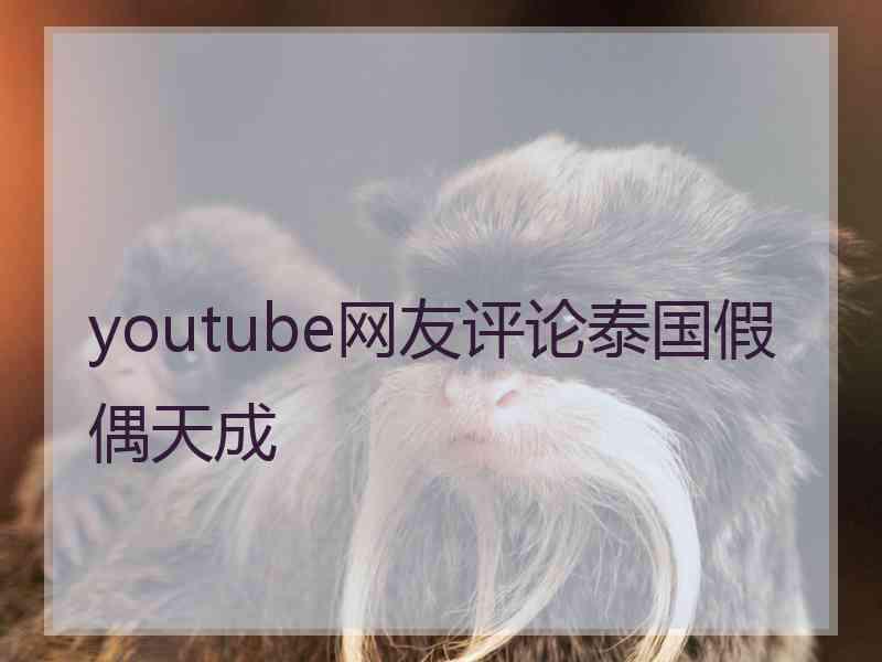 youtube网友评论泰国假偶天成