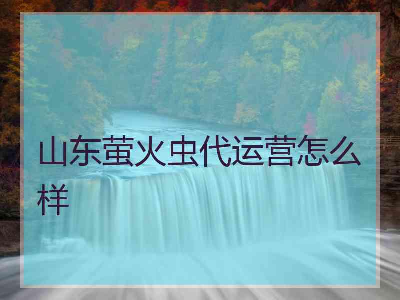 山东萤火虫代运营怎么样