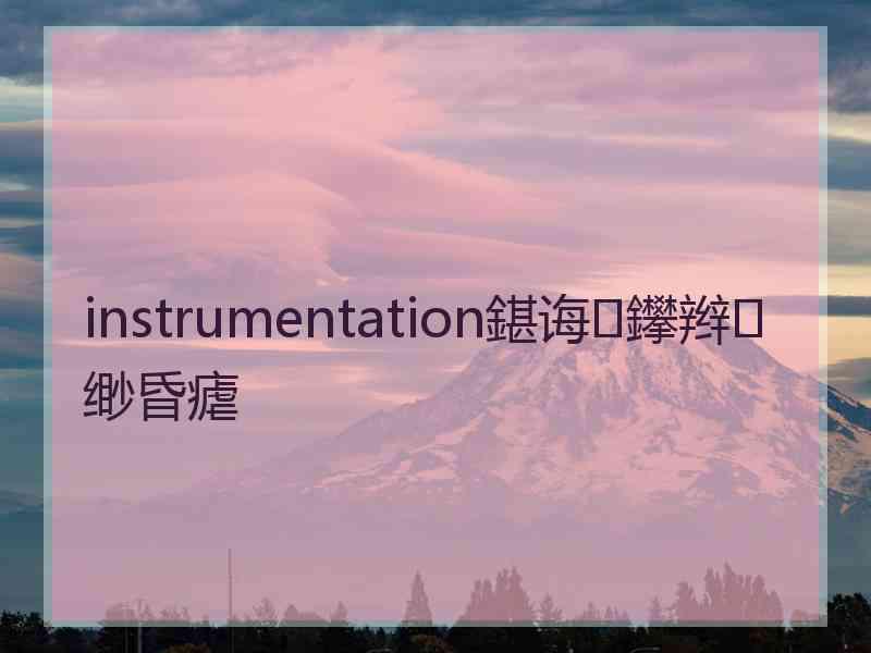 instrumentation鍖诲鑻辫缈昏瘧