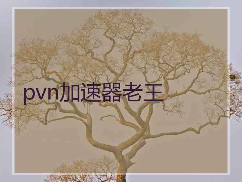 pvn加速器老王