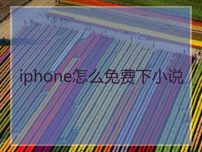 iphone怎么免费下小说