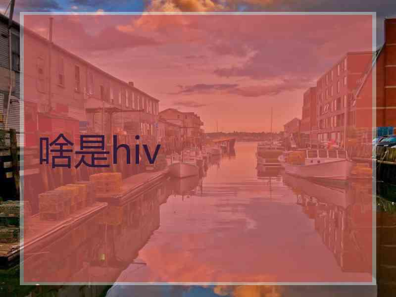 啥是hiv