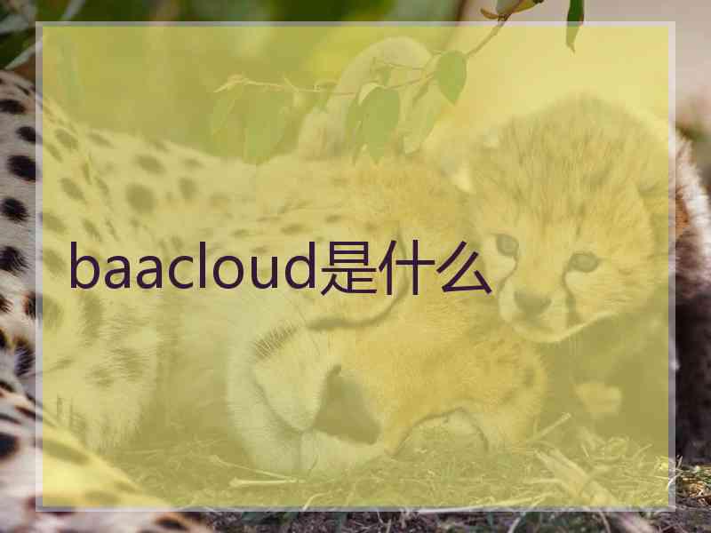 baacloud是什么