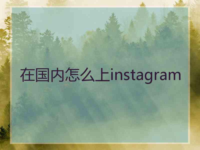 在国内怎么上instagram