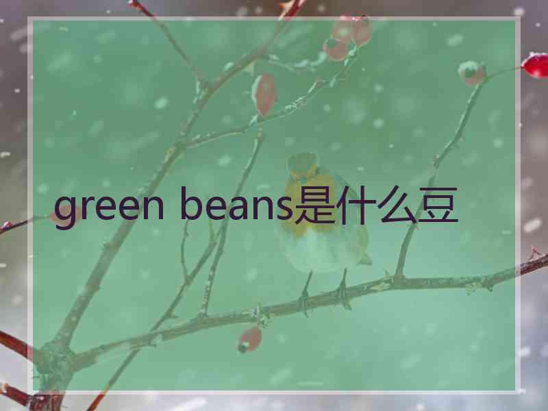 green beans是什么豆