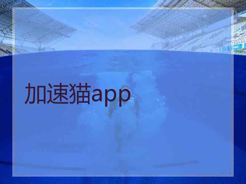 加速猫app