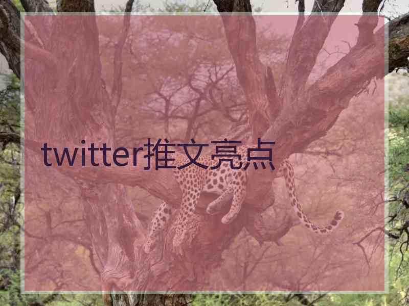 twitter推文亮点