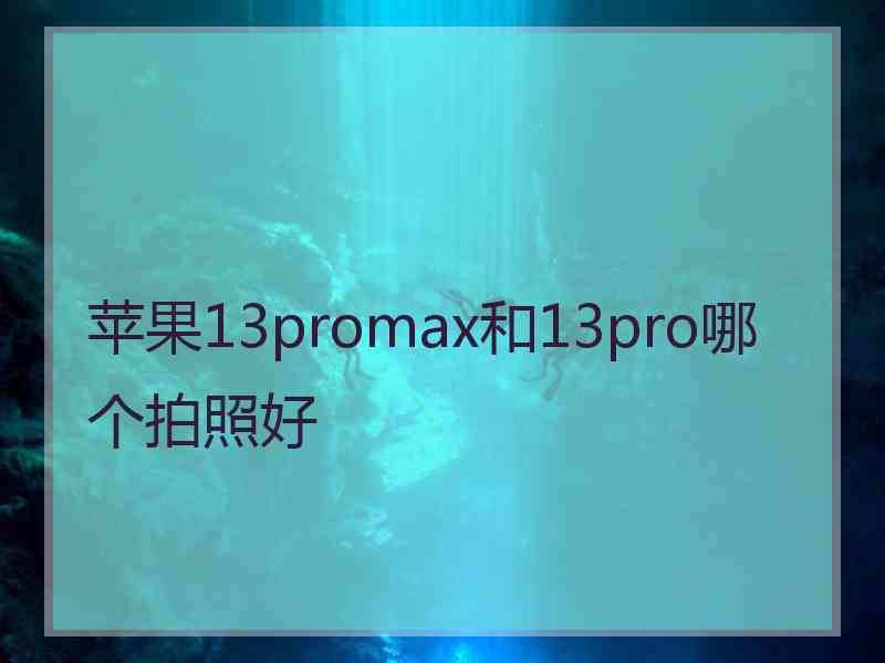 苹果13promax和13pro哪个拍照好