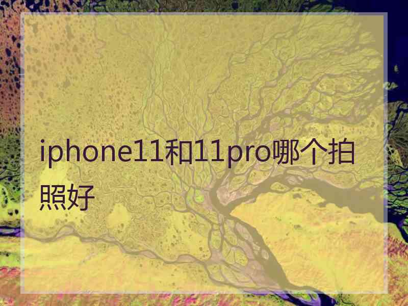 iphone11和11pro哪个拍照好