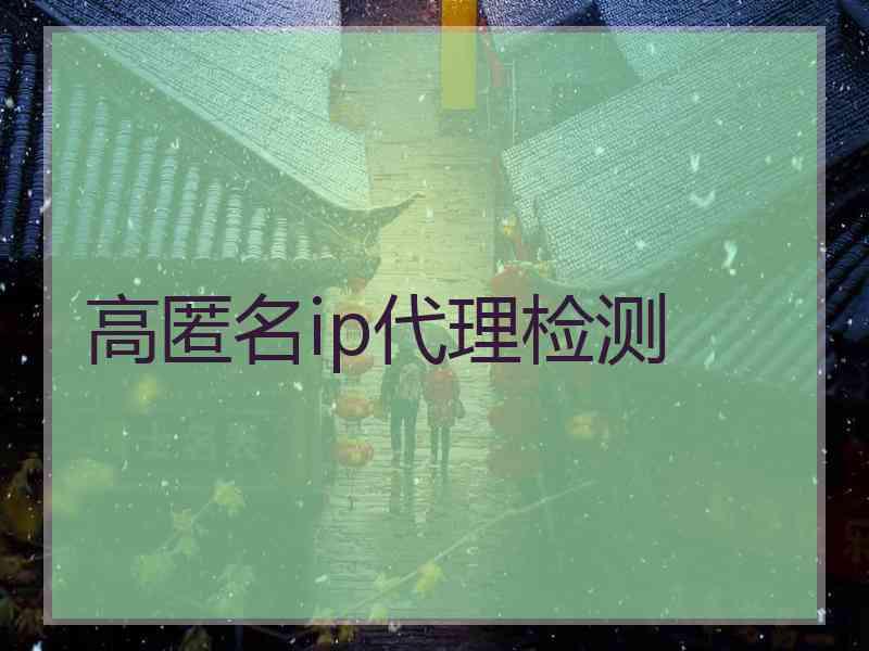 高匿名ip代理检测