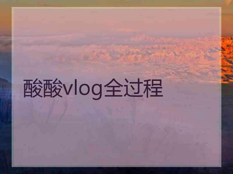 酸酸vlog全过程