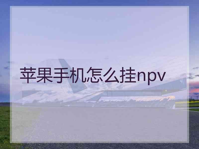 苹果手机怎么挂npv