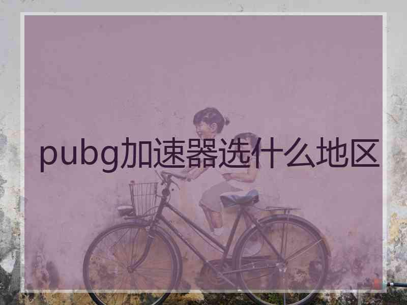 pubg加速器选什么地区