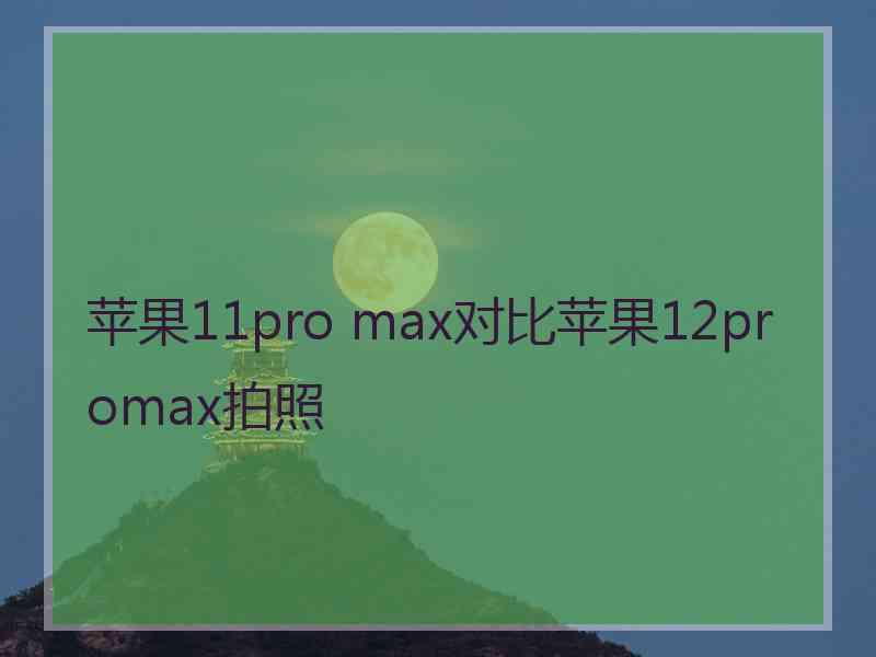 苹果11pro max对比苹果12promax拍照