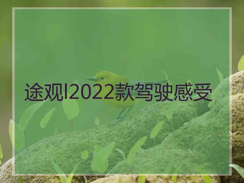 途观l2022款驾驶感受