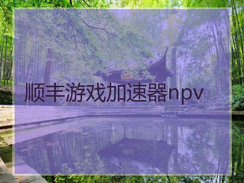 顺丰游戏加速器npv