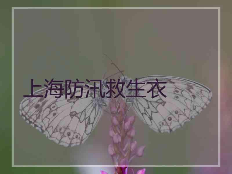 上海防汛救生衣